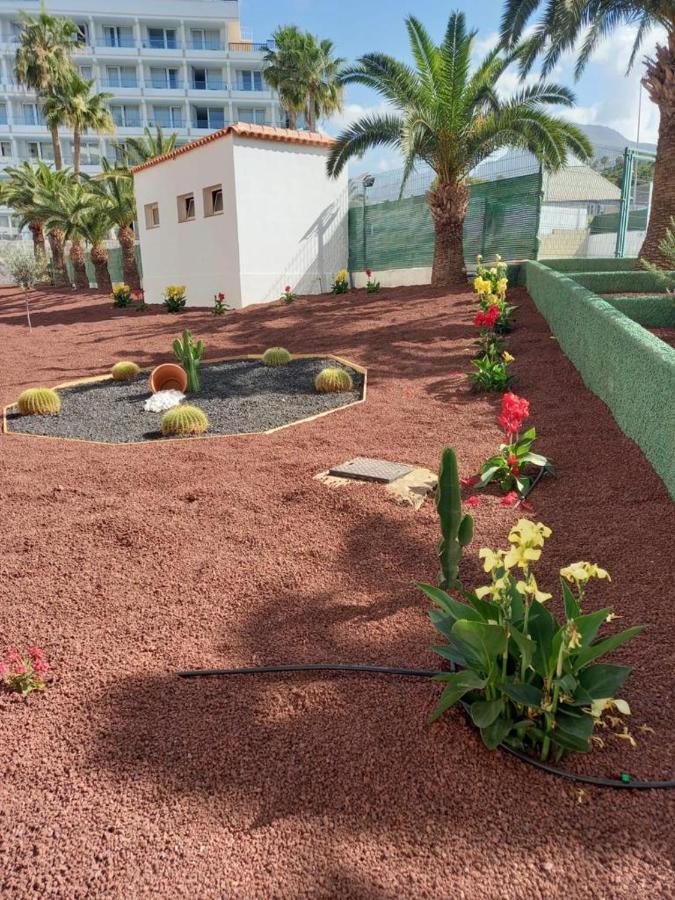 Apartamento Vacacional Playa Плая де лас Америкас Екстериор снимка